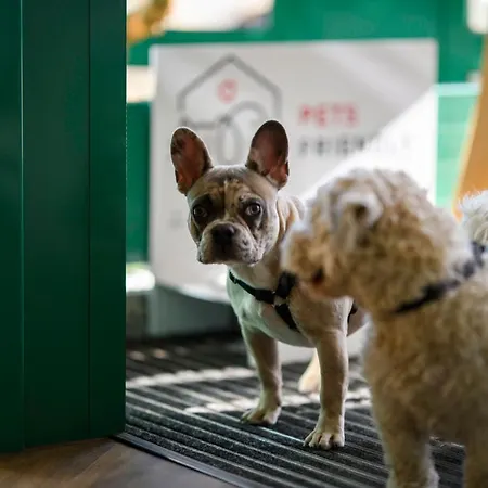 Ambiente Hannover By Tulip 호텔 랑겐하겐