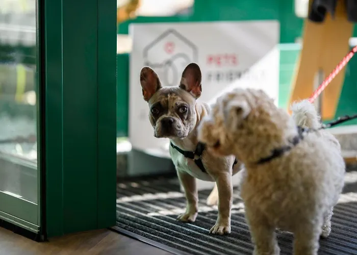 Ambiente Hannover By Tulip Отель Лангенхаген
